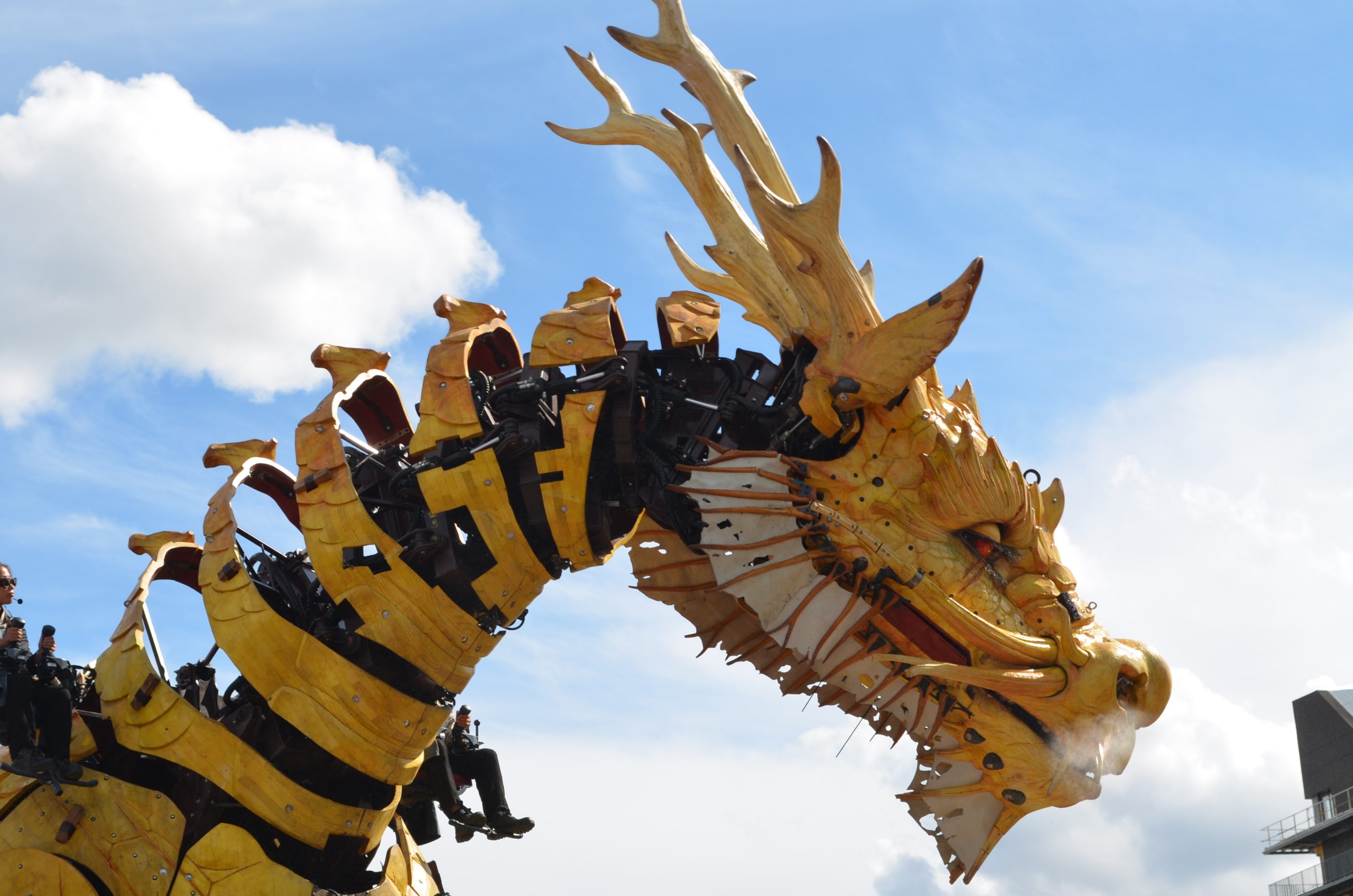 cheval dragon à nantes